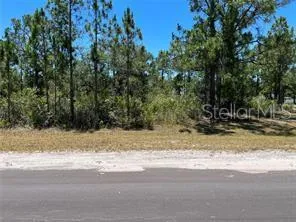 a view of road with trees