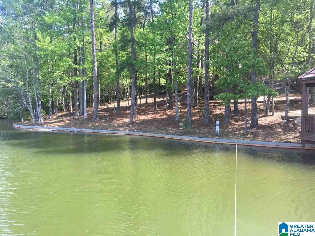 479 Graves Road Wedowee, AL 36278 - Photo 2 of 27