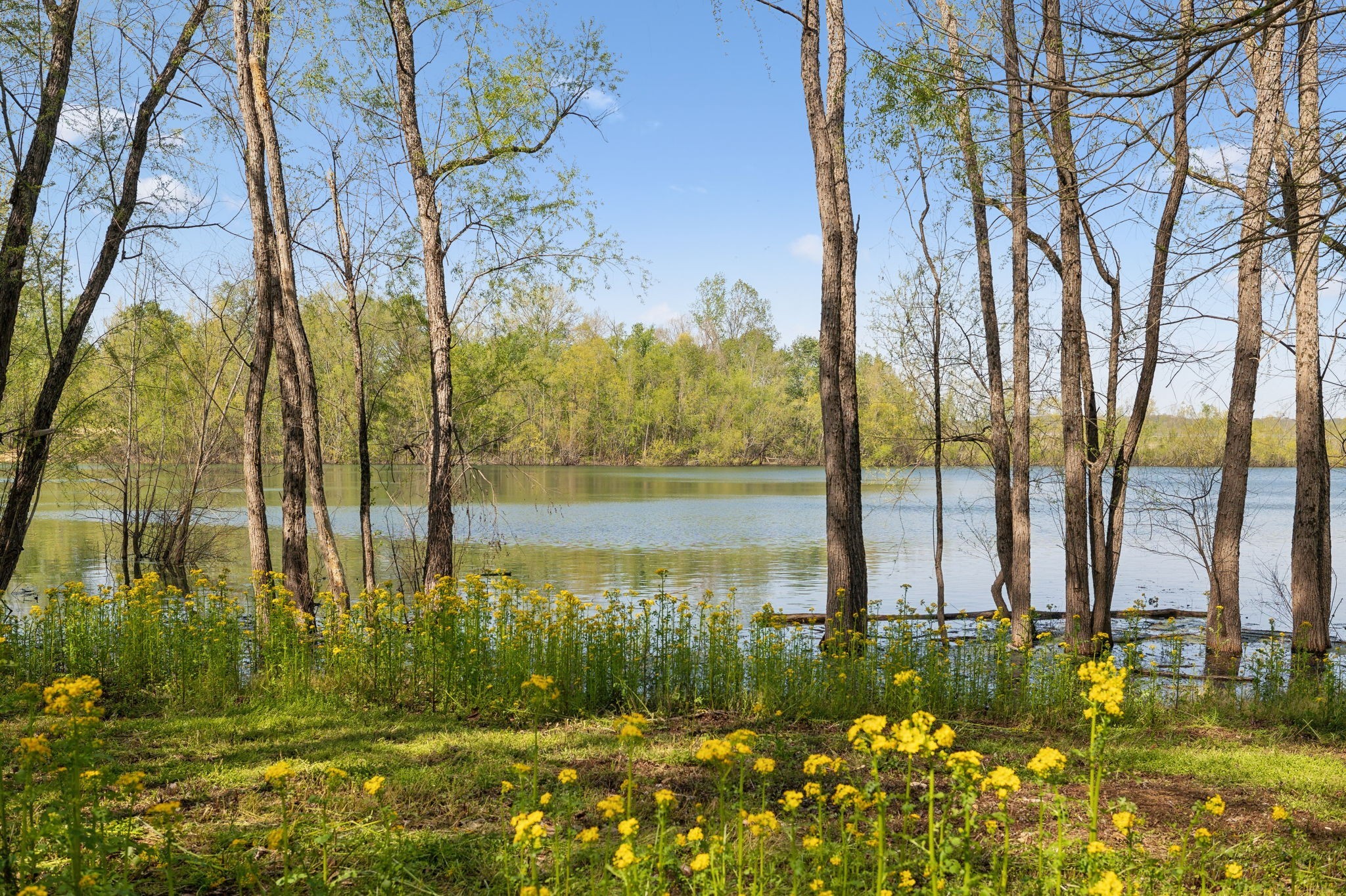 2038 Stephens Road Columbia, TN 38401 - Photo 42 of 69
