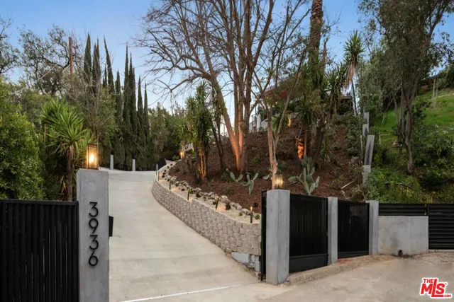 a view of a yard with trees