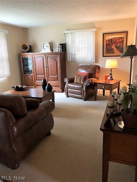 310 North Road Southeast Warren, OH 44484 - Photo 3 of 30 Gallery Image 3