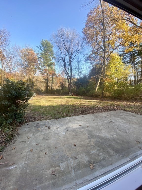 129 Greenwich Road Ware, MA 01082 - Photo 23 of 31 a view of dirt yard with large trees