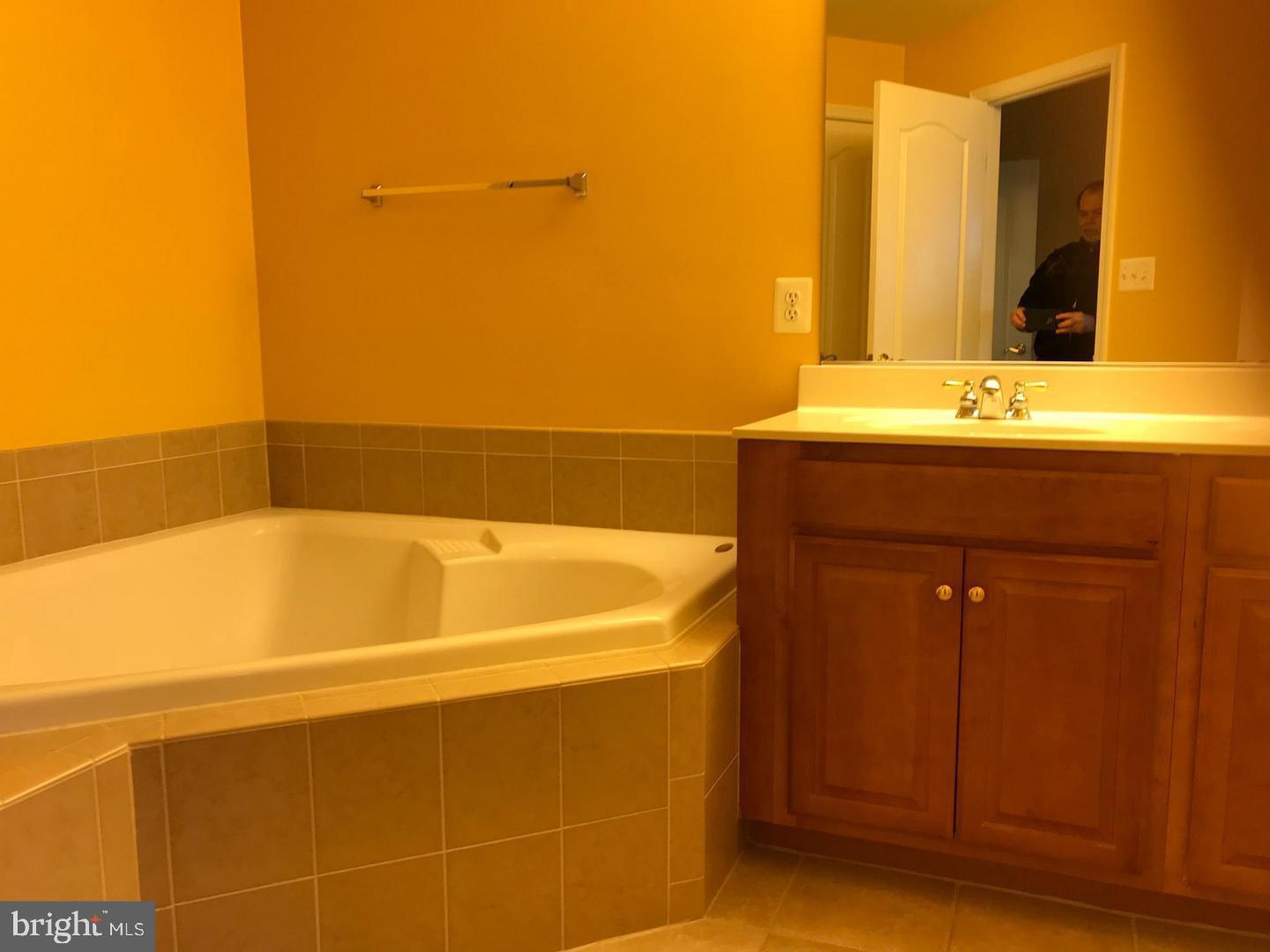 21927 Windy Oaks Square Broadlands, VA 20148 - Photo 12 of 18 a bathroom with a bathtub and a sink