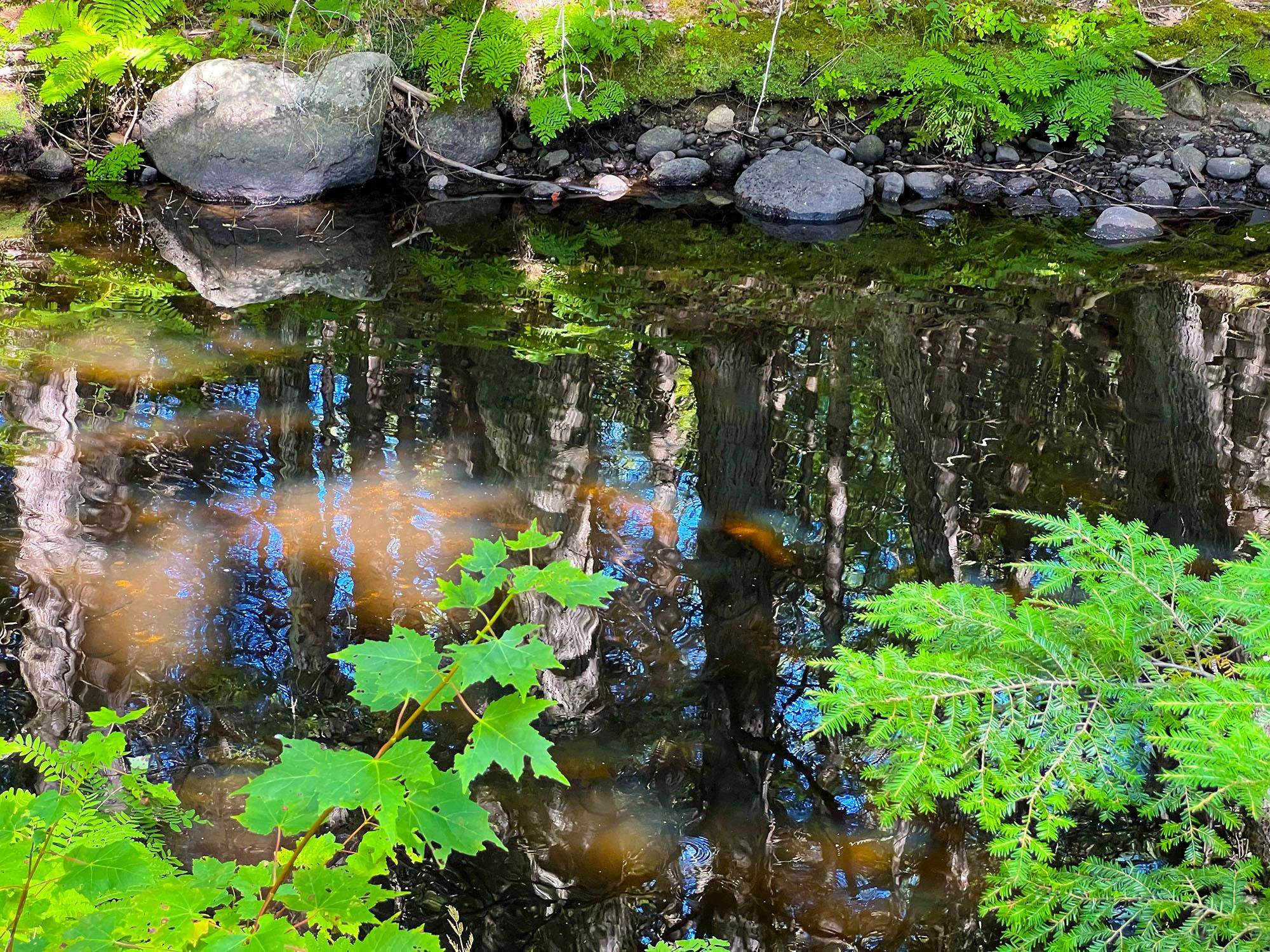 199 Roby Road South Sutton, NH 03273 - Photo 14 of 27