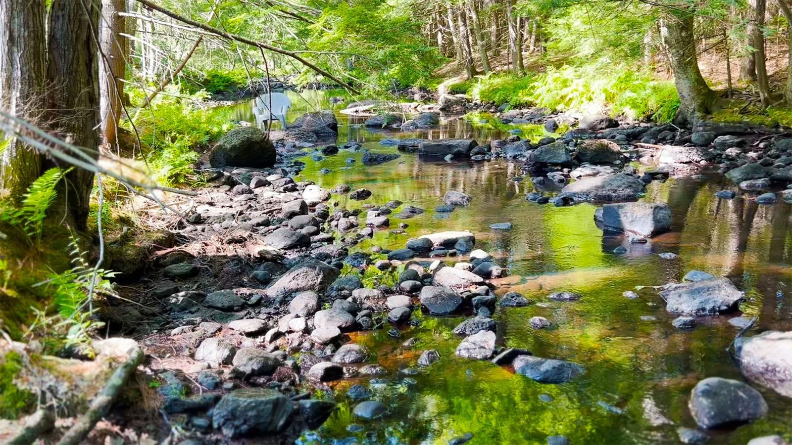 199 Roby Road South Sutton, NH 03273 - Photo 16 of 27