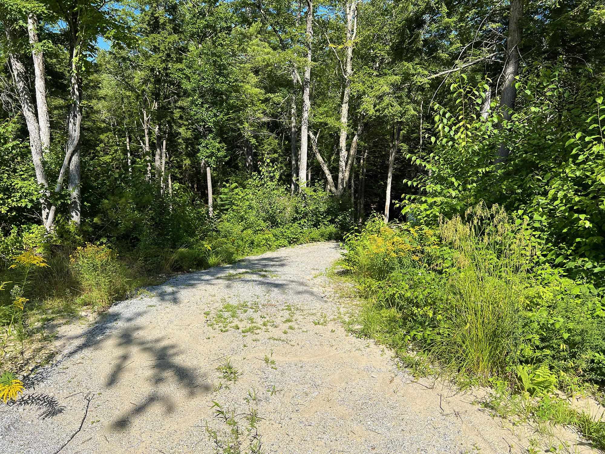 199 Roby Road South Sutton, NH 03273 - Photo 20 of 27