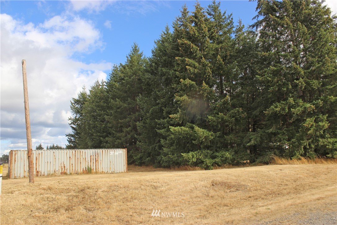 18338 Nicody Lane Southwest Rochester, WA 98579 - Photo 2 of 3