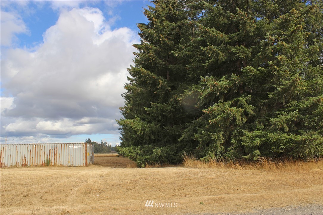 18338 Nicody Lane Southwest Rochester, WA 98579 - Photo 3 of 3