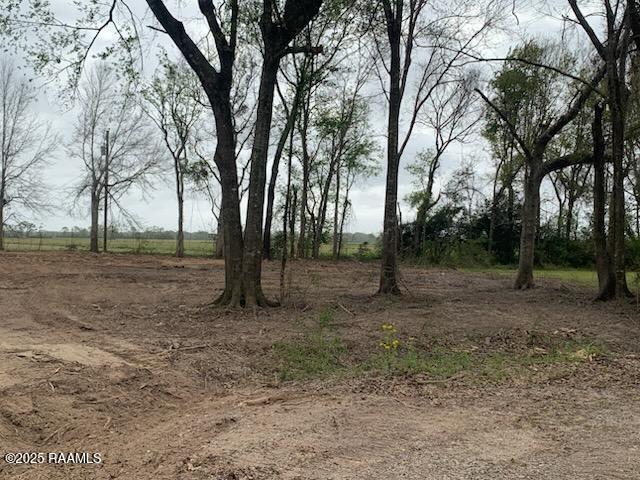 8743 Ruth Youngsville, LA 70592 - Photo 3 of 4 IMG_3480