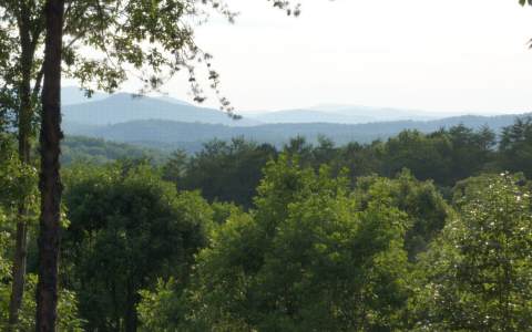 110 Dragonfly Blue Ridge Blue Ridge, GA 30513 - Photo 1 of 1 Main View