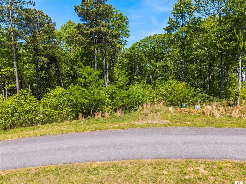 112 Twisted Oak Road Talking Rock, GA 30175 - Photo 3 of 14 a view of yard with swimming pool
