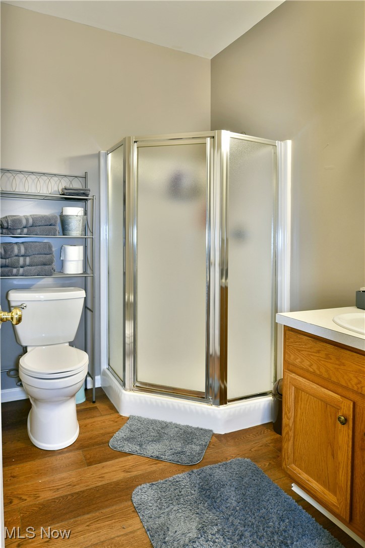 218 Wilcox Road Youngstown, OH 44515 - Photo 36 of 47 bath in bedroom 3