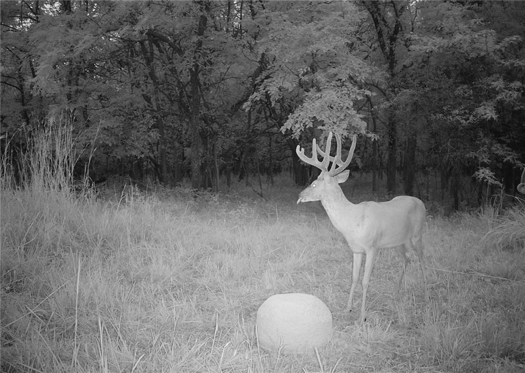 0 North 600th Road Overbrook, KS 66524 - Photo 7 of 46 Gallery Image 7