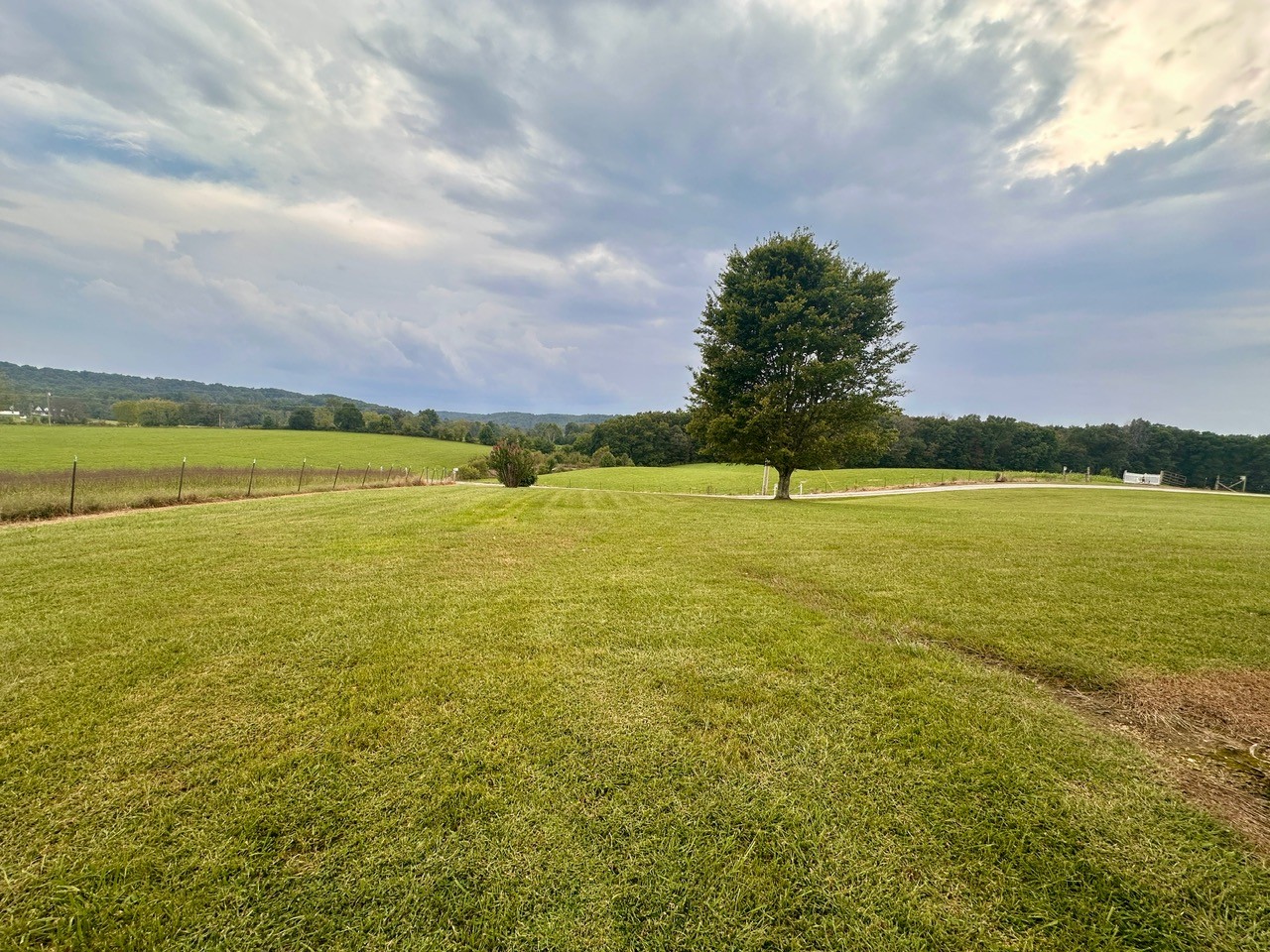 12343 Griffith Road Pikeville, TN 37367 - Photo 12 of 40