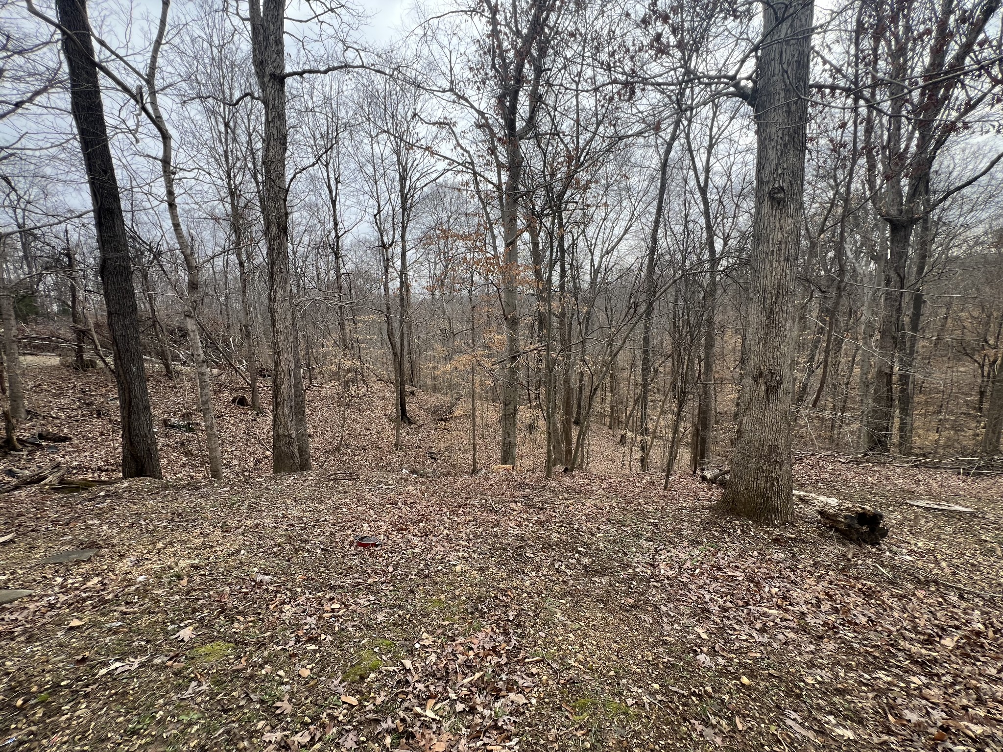 3005 Patsy Road Palmyra, TN 37142 - Photo 20 of 23 Gallery Image 20