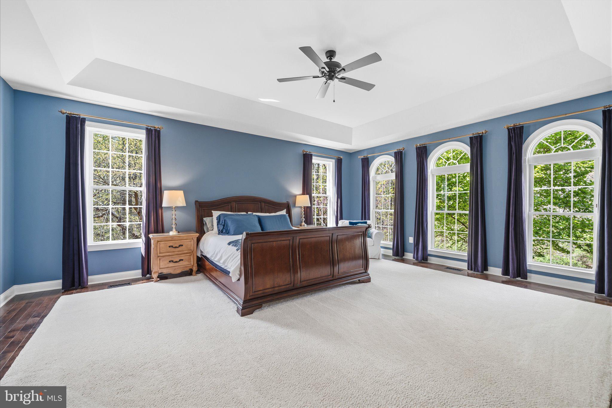9055 Buckland Mill Road Gainesville, VA 20155 - Photo 17 of 76 Primary Suite on Main Level with Tray Ceiling