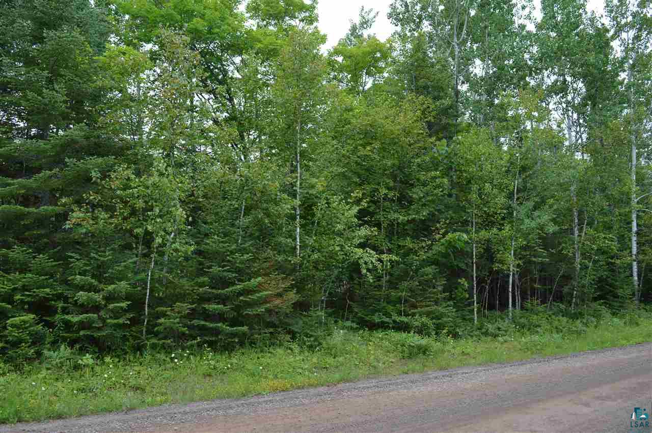 Xxx Amundson Road Duluth, MN 55803 - Photo 6 of 11