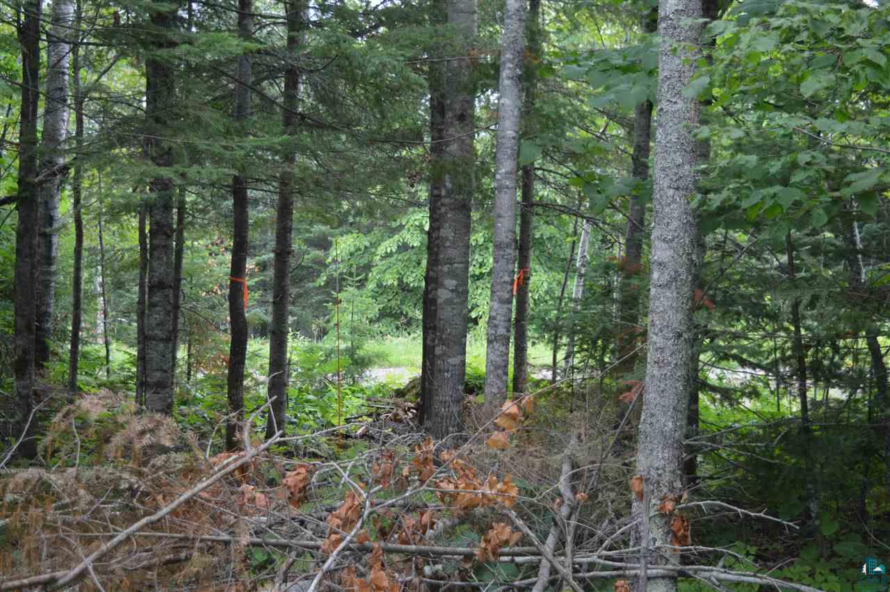 Xxx Amundson Road Duluth, MN 55803 - Photo 8 of 11 Driveway Easement
