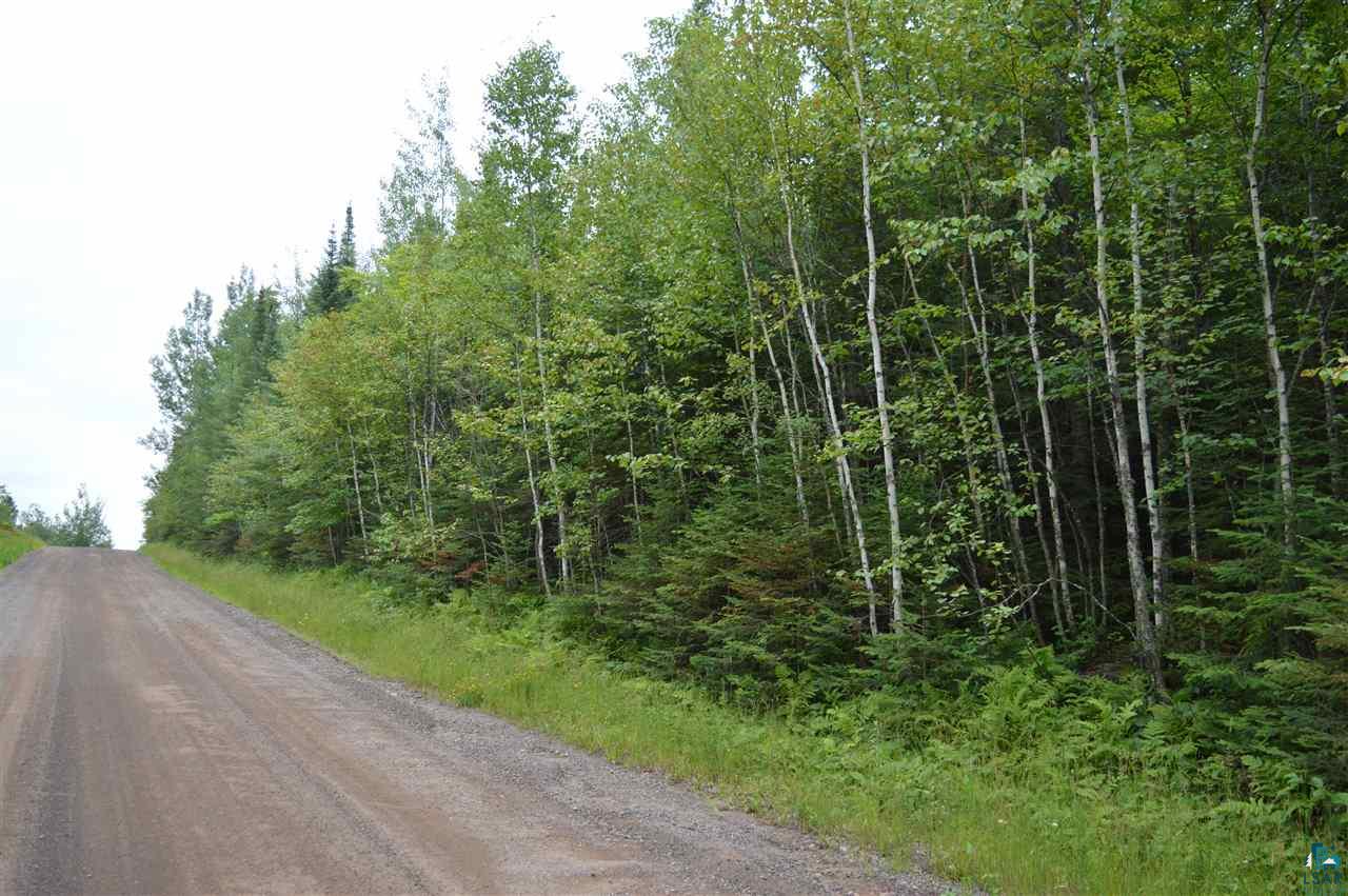 Xxx Amundson Road Duluth, MN 55803 - Photo 9 of 11
