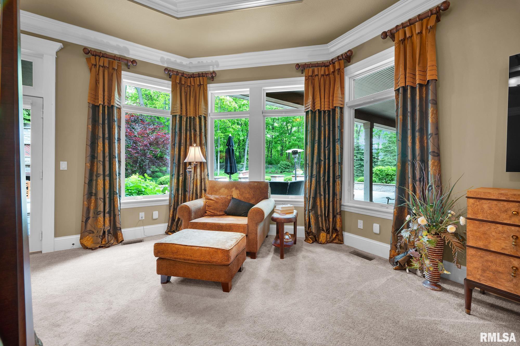 12925 Woodland Ridge Drive Dunlap, IL 61525 - Photo 40 of 100
