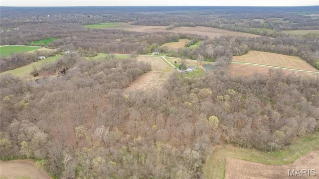 $435,000 | 1401 Longbridge Trail, Walshville, IL 62091