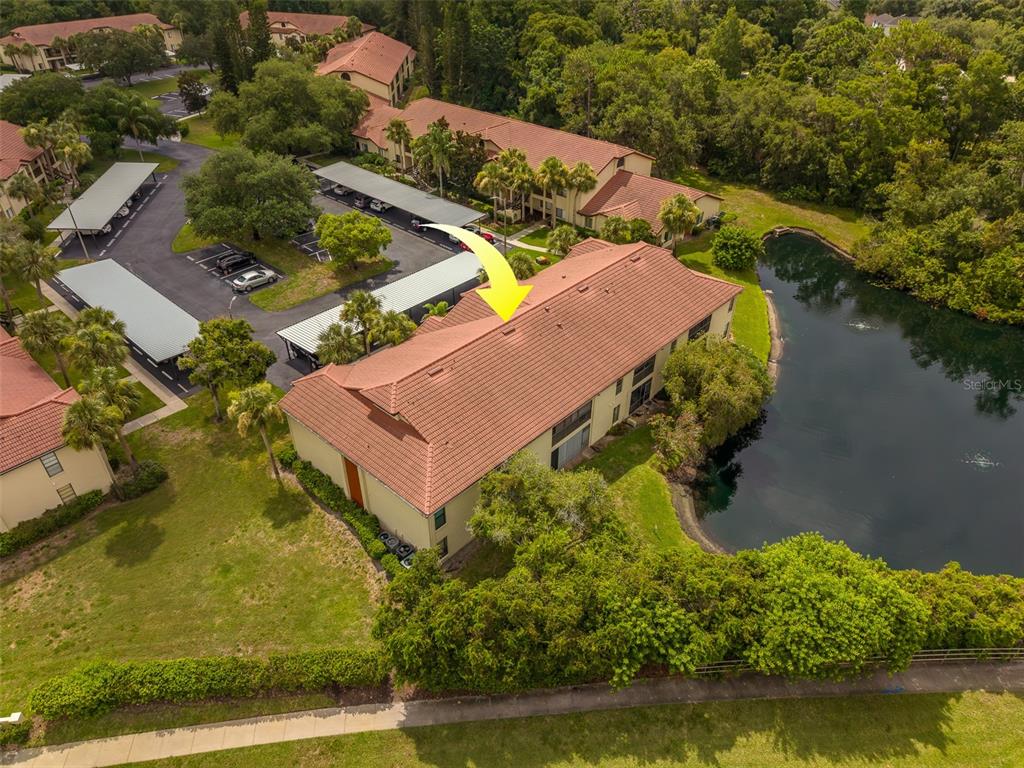 1801 East Lake Road South, Unit 20G Palm Harbor, FL 34685 - Photo 46 of 51