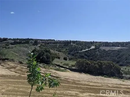 a view of a mountain