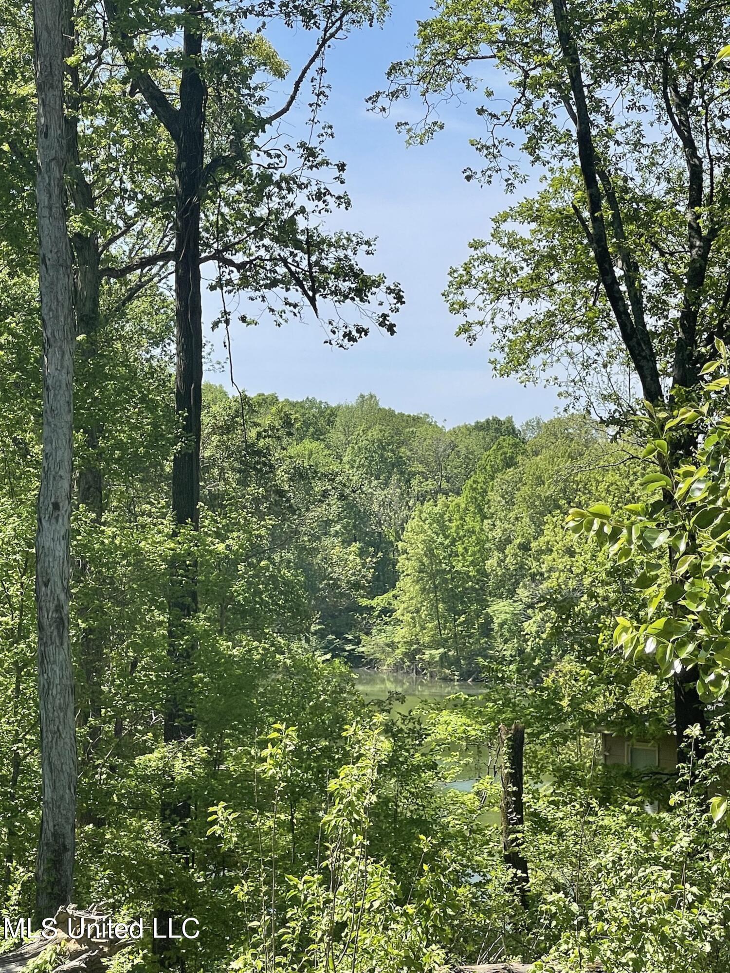 1944 Konawa Road Hernando, MS 38632 - Photo 2 of 6 IMG_2827