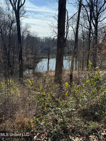 $16,000 | 1944 Konawa Road, Hernando, MS 38632