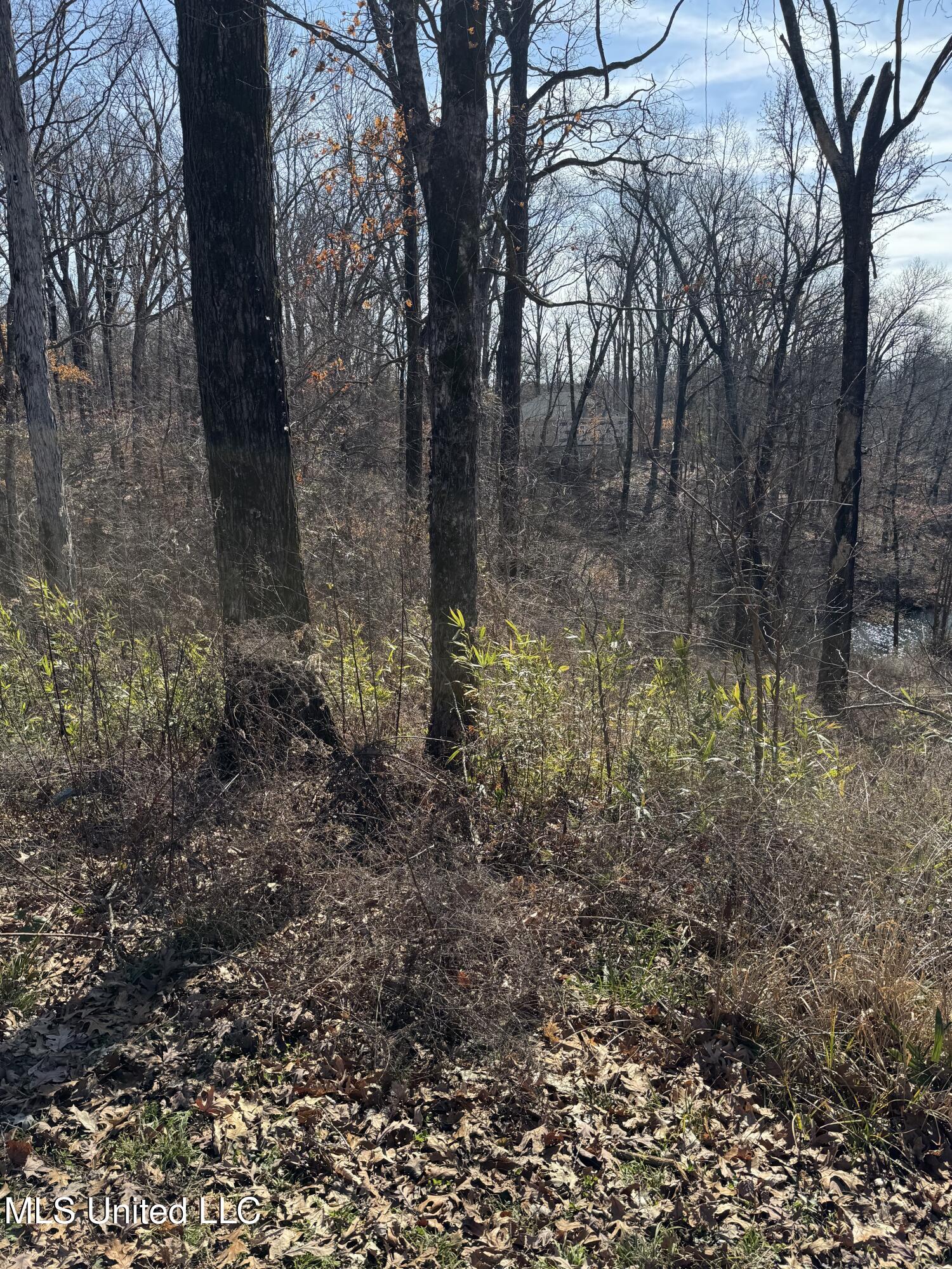 1944 Konawa Road Hernando, MS 38632 - Photo 4 of 6 IMG_9230