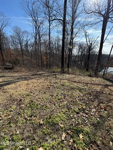 $16,000 | 1944 Konawa Road, Hernando, MS 38632