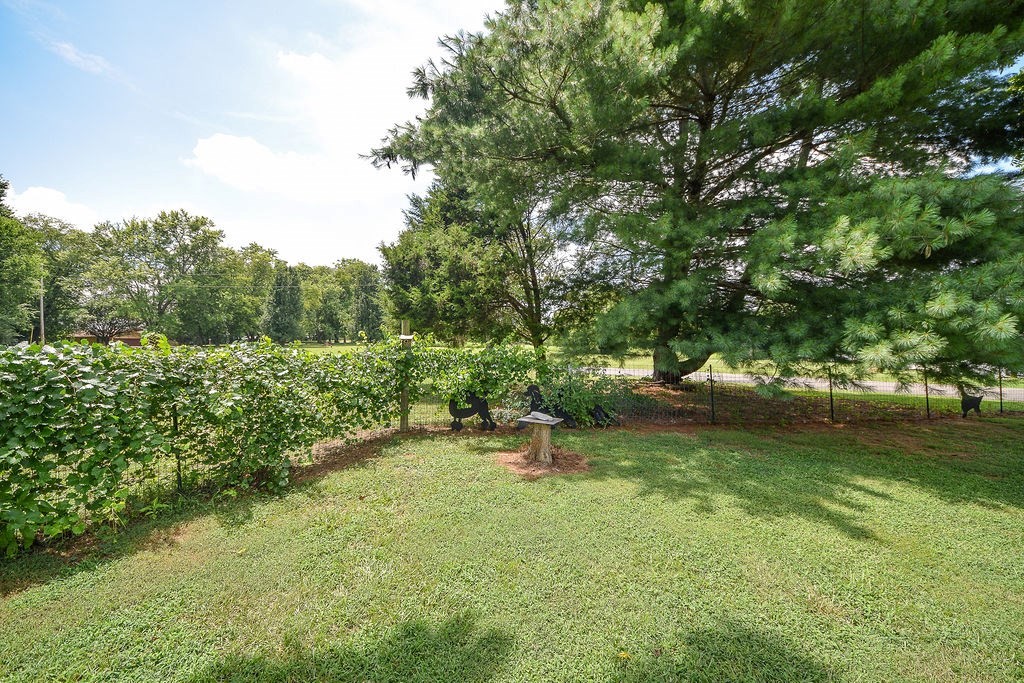 879 Hiwassee Drive Decatur, TN 37322 - Photo 29 of 70 Gallery Image 29