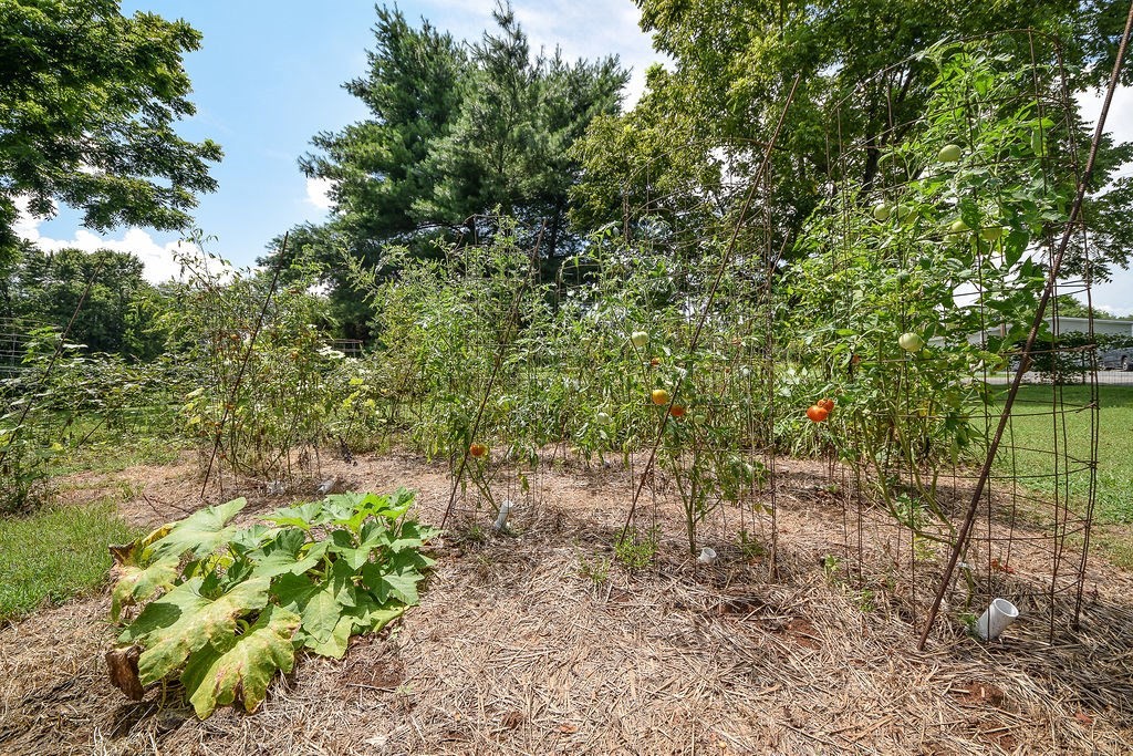 879 Hiwassee Drive Decatur, TN 37322 - Photo 31 of 70 Gallery Image 31