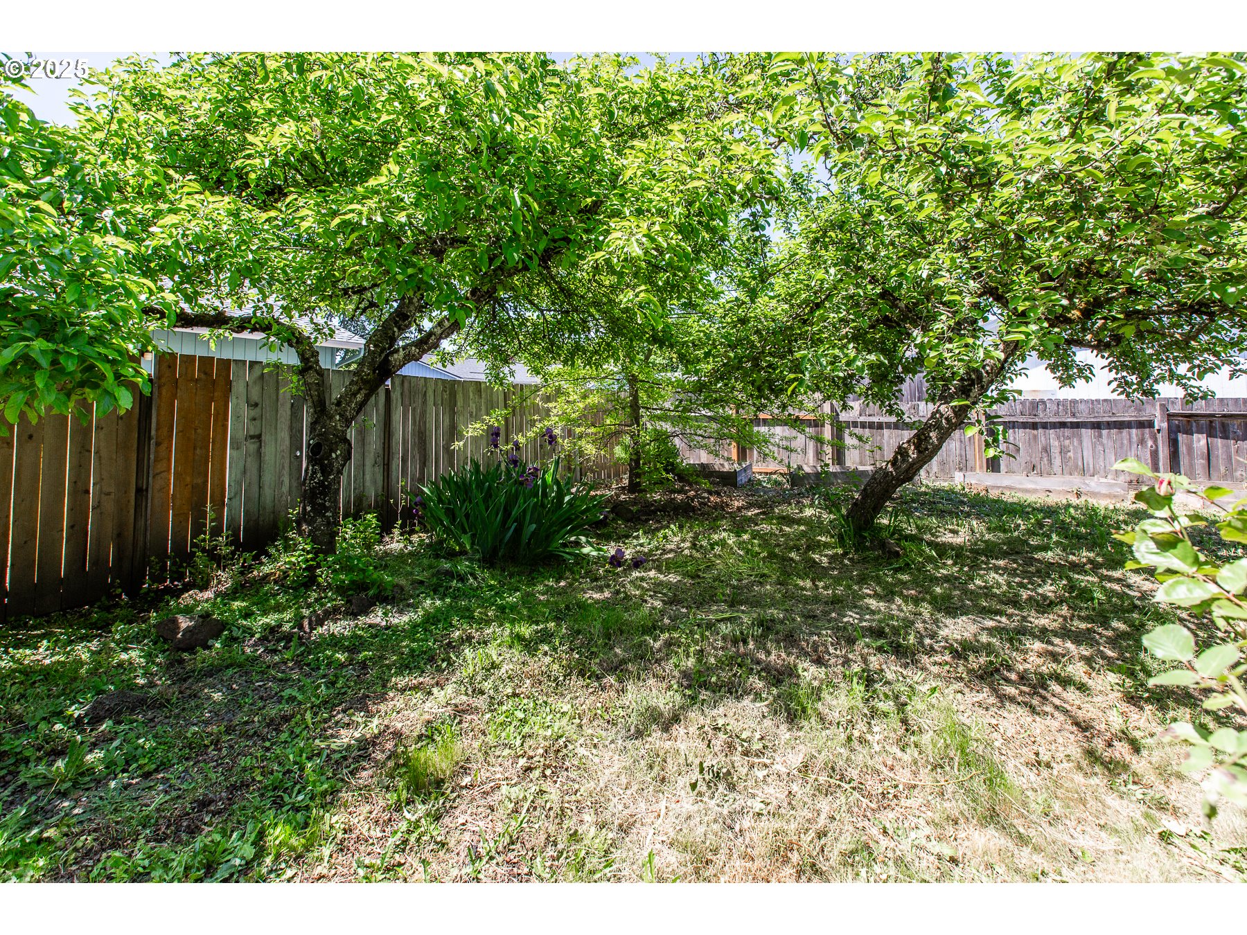 1403 Haven Street Eugene, OR 97402 - Photo 29 of 31 a view of a backyard