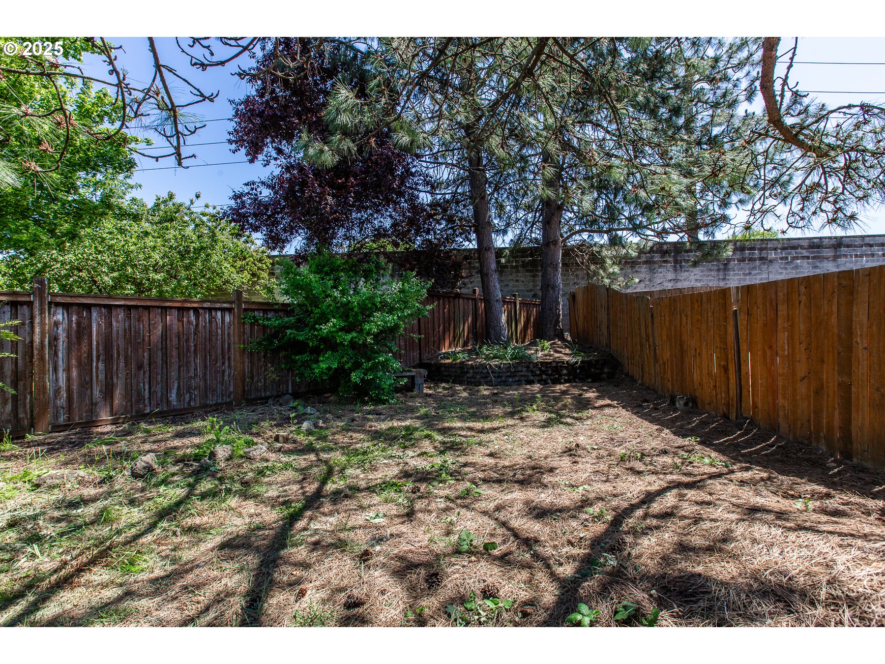 1403 Haven Street Eugene, OR 97402 - Photo 30 of 31 a backyard of a house with lots of green space
