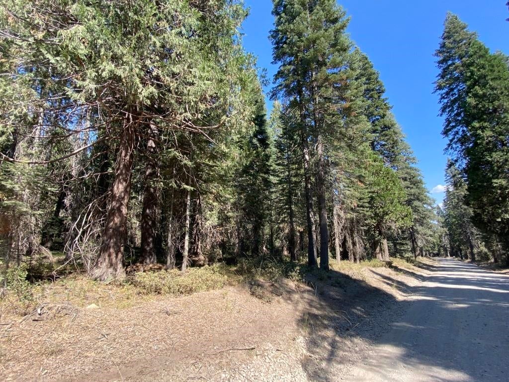 3-i-1 Red Fir Road McCloud, CA 96057 - Photo 11 of 12 Gallery Image 11