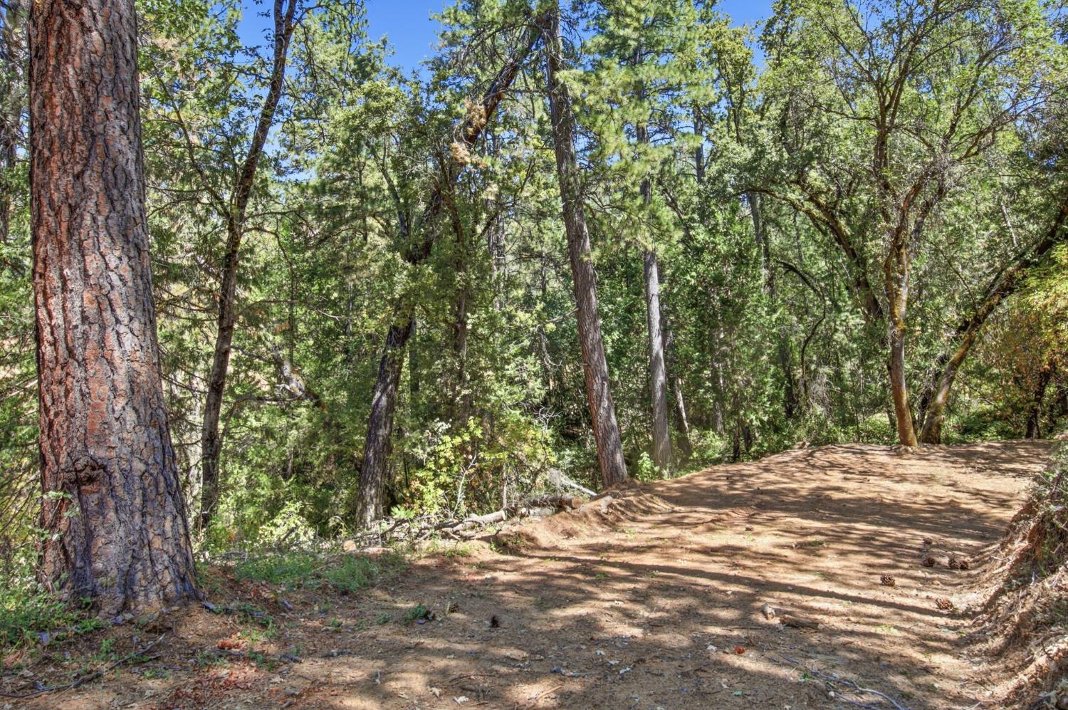0 Sly Park Road Placerville, CA 95667 - Photo 17 of 27 Gallery Image 17