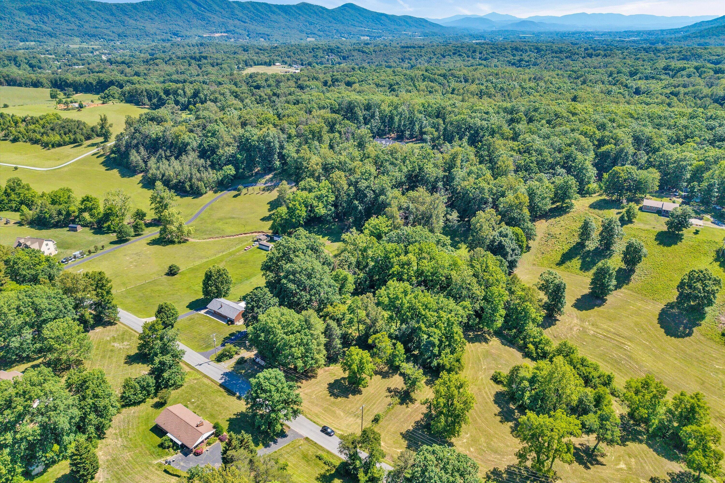 2241 Blue Ridge Springs Road Blue Ridge, VA 24064 - Photo 5 of 28 Aerial view