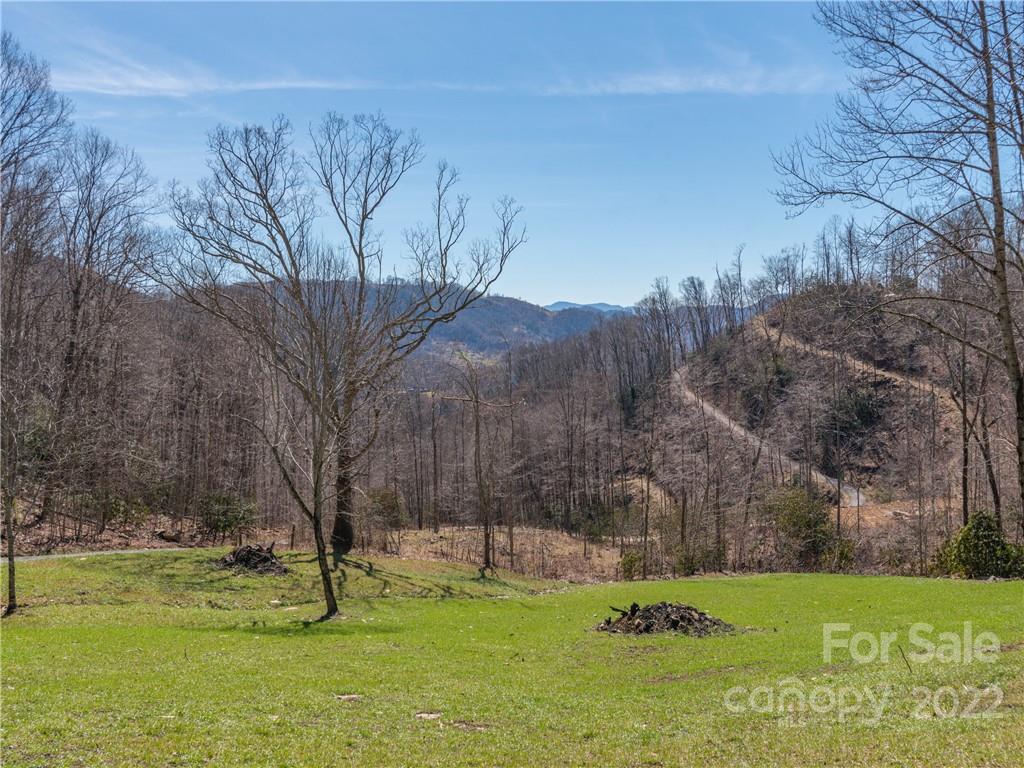 435 Seeley Cove Road Clyde, NC 28721 - Photo 3 of 17 a view of an outdoor space