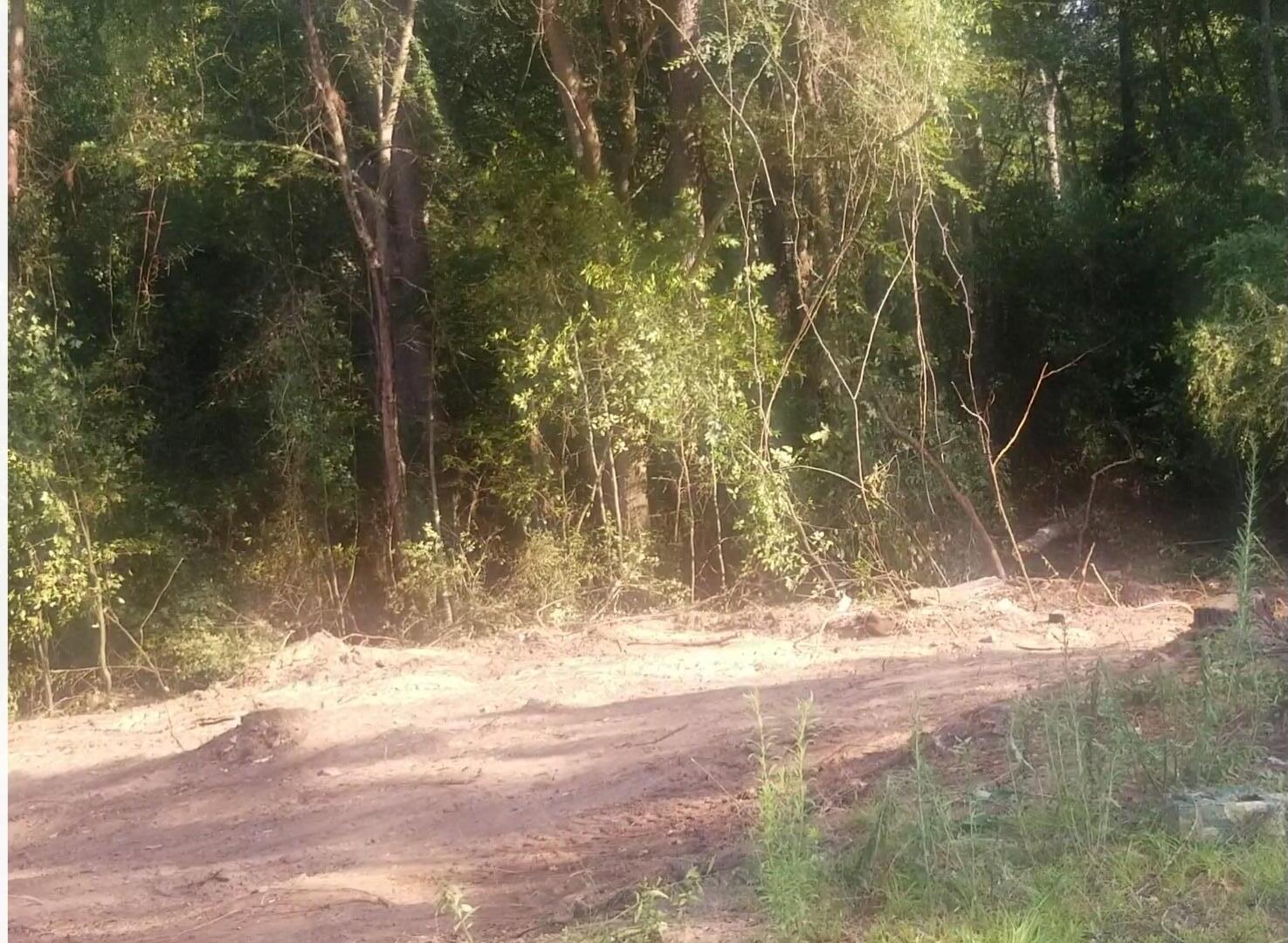 533 Toby Extension Aiken, SC 29801 - Photo 3 of 4