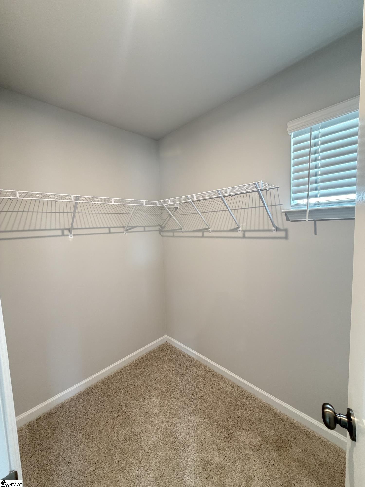 136 Randwick Lane Greer, SC 29651 - Photo 13 of 23