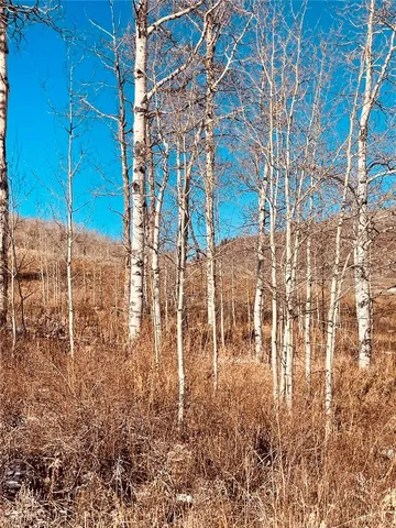a view of building with yard
