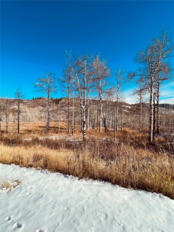 27250 Frisco Place Clark, CO 80428 - Photo 4 of 10 a view of street