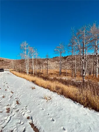 a view of a road with a yard