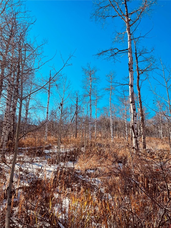 27250 Frisco Place Clark, CO 80428 - Photo 8 of 10 a view of a backyard