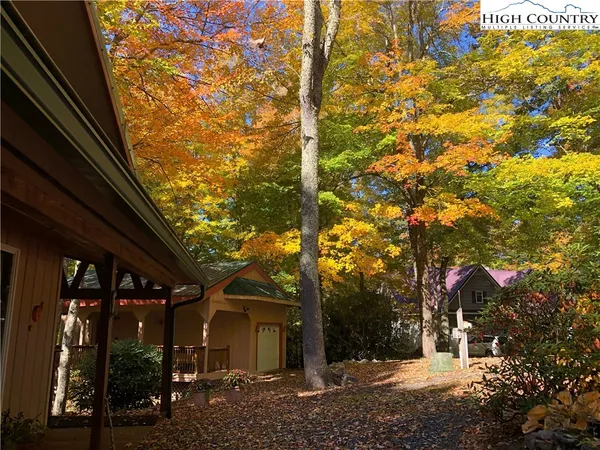 a view of road and trees