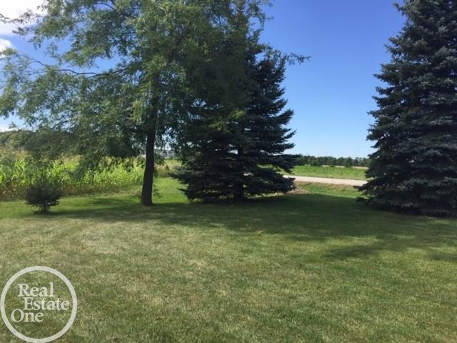 4775 McIntyre Road North Street, MI 48049 - Photo 65 of 69