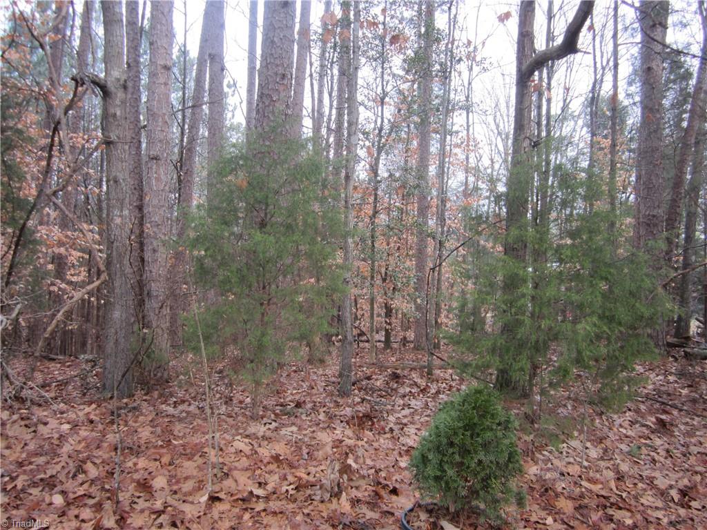 555 Paul Musgrave Road Lexington, NC 27292 - Photo 5 of 5 Gallery Image 5