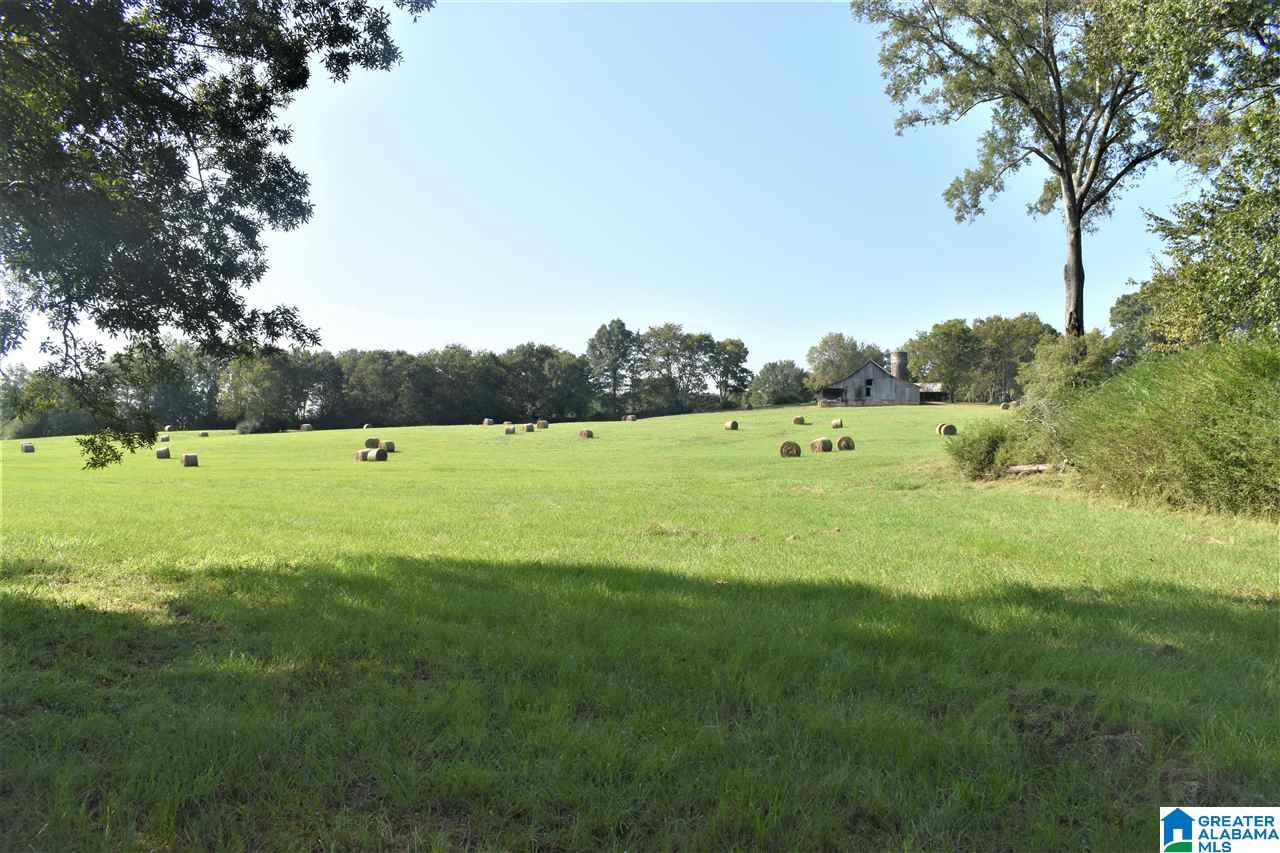 3086 McElderry Road North Munford, AL 36268 - Photo 42 of 44