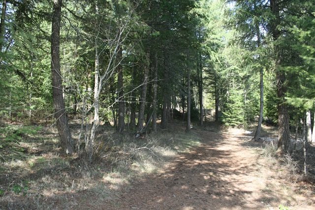 4203 D Lyons Hill Road Springdale, WA 99173 - Photo 15 of 20